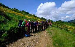 «НАШИ ДОСТИЖЕНИЯ»